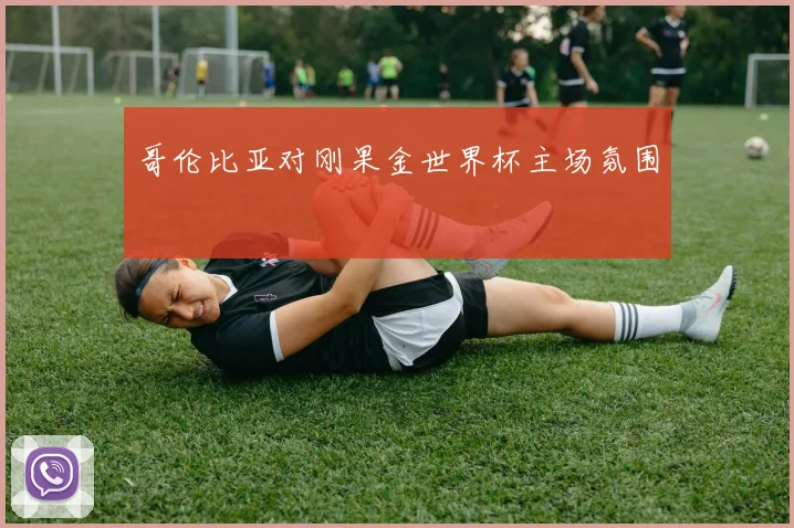 哥伦比亚对刚果金世界杯主场氛围