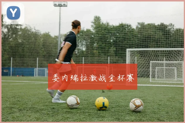 委内瑞拉激战金杯赛
