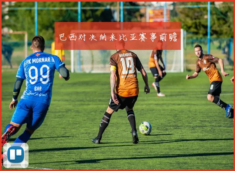 巴西对决纳米比亚赛事前瞻