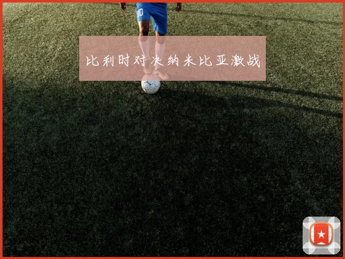 比利时对决纳米比亚激战