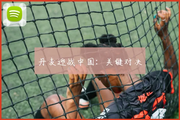丹麦迎战中国：关键对决