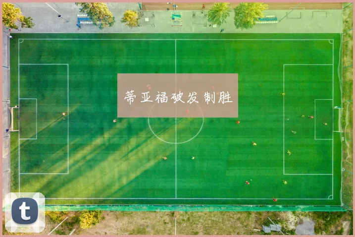 蒂亚福破发制胜