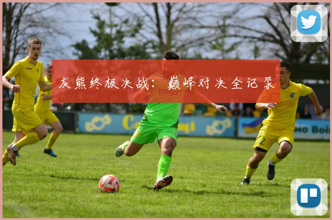 灰熊终极决战：巅峰对决全记录