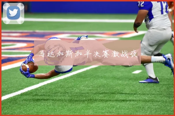 马达加斯加半决赛激战夜