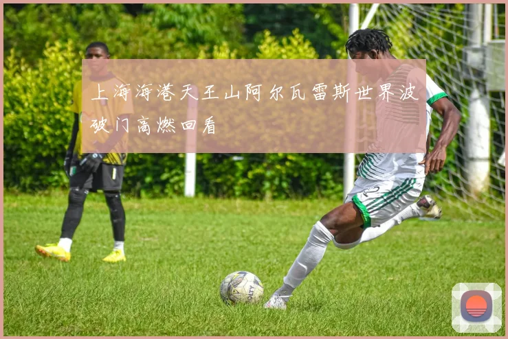上海海港天王山阿尔瓦雷斯世界波破门高燃回看