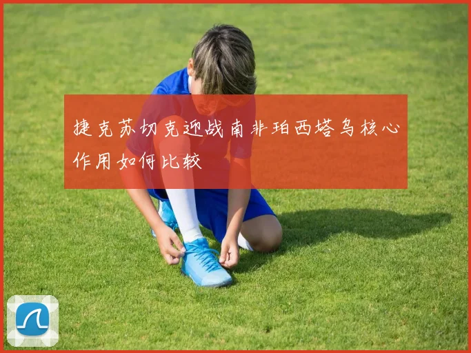 捷克苏切克迎战南非珀西塔乌核心作用如何比较