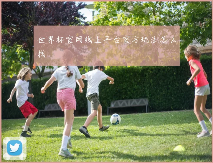 世界杯官网线上平台官方玩法怎么找