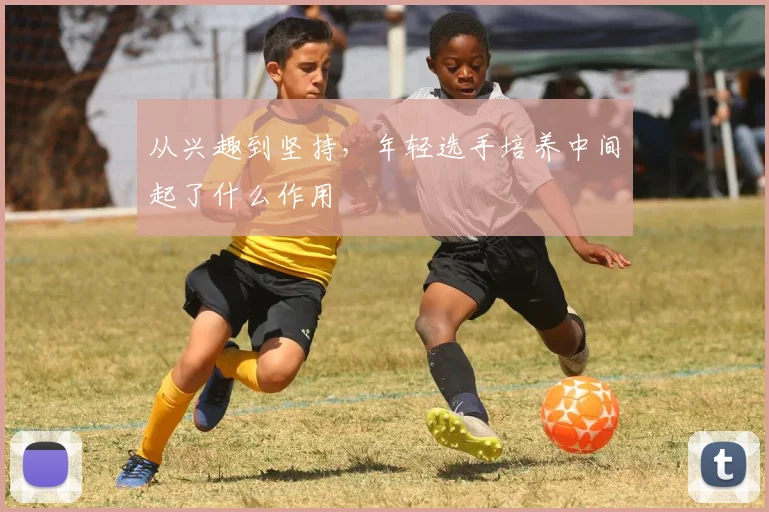 从兴趣到坚持，年轻选手培养中间起了什么作用